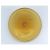 Cive ambre 10 cm