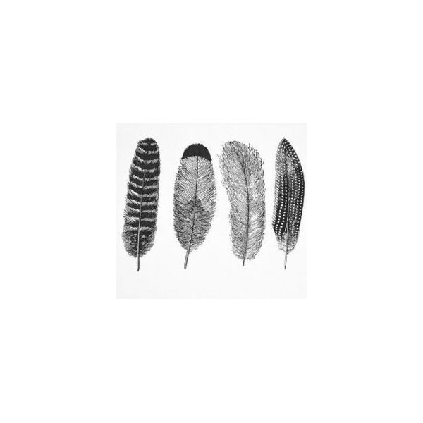 Décalcomanie pour fusing ou céramique. 4 grandes plumes. Noir