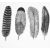 Décalcomanie pour fusing ou céramique. 4 grandes plumes. Noir