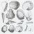 Décalcomanie pour fusing ou céramique. Coquillages. Argent