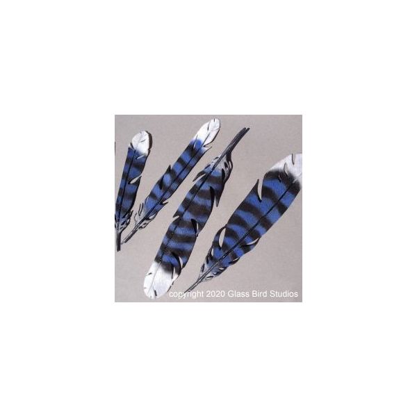 Glass Bird Modeling. Kit pour modeler de la pâte de verre à partir de frittes.