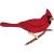 Patron pour vitrail " Cardinal " . Format A4