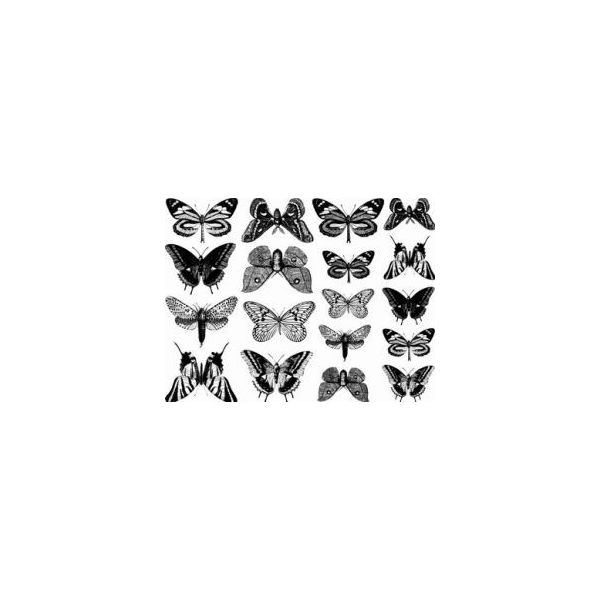 Décalcomanie pour fusing ou céramique. Papillons. Noir