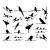 Décalcomanie pour fusing ou céramique. Oiseaux. Noir