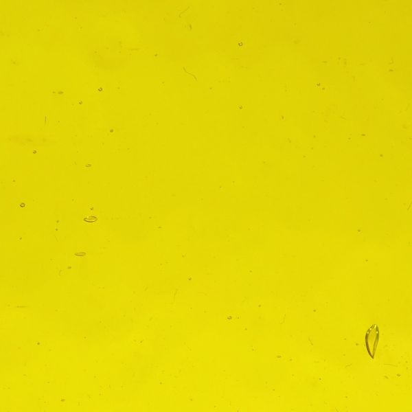 Wissmach 31 Corella. Jaune translucide structuré