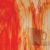 Wissmach 27 LL. Orange avec clair. Veiné lisse