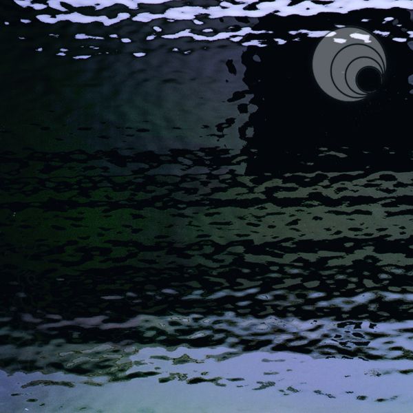 Spectrum 1009W F. Noir. Opalescent. Structuré. Fusing COE96