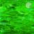 Spectrum 329-6 F. Vert foncé. Semi-translucide. Lisse. COE96