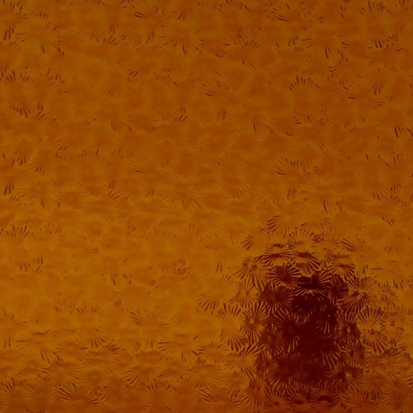 Wissmach 310 Florentine. Ambre foncé translucide structuré