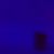 Wissmach 329 Corella. Bleu cobalt foncé. Translucide