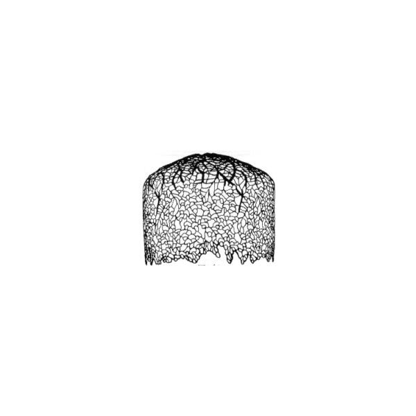 Forme ou moule Odyssey Wisteria 45cm