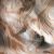 Spectrum Cinnamon Baroque. Vague cannelle sur clair