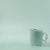 Wissmach 322 English Muffle. Vert pastel translucide