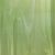 Oceanside Fusers Reserve 16 Vert clair semi-translucide COE96