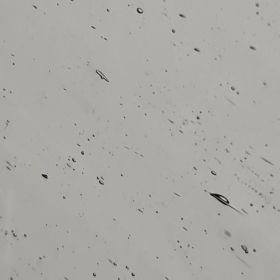 Wanda Stained Glass 210 Gris translucide