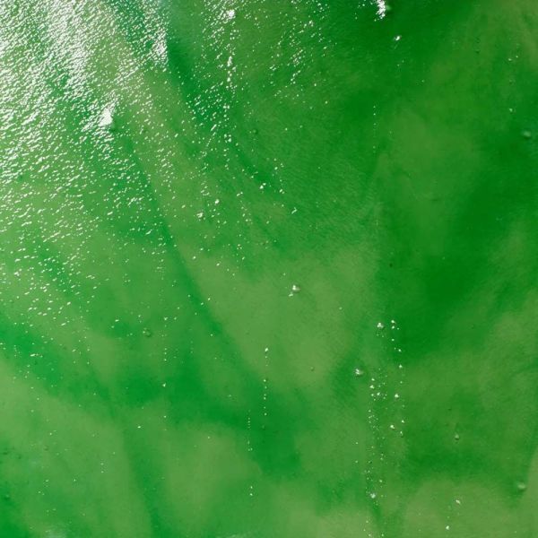 Mississipi River Glass 4013 S Blanc vert clair semi-translucide