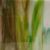 Mississipi River Glass 7020 S Vert blanc marron opaque